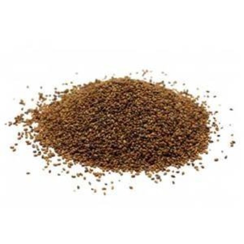 Nutritious 4 oz Alfalfa Sprouting Seeds – Non-GMO, Easy to Grow, Resealable Pack