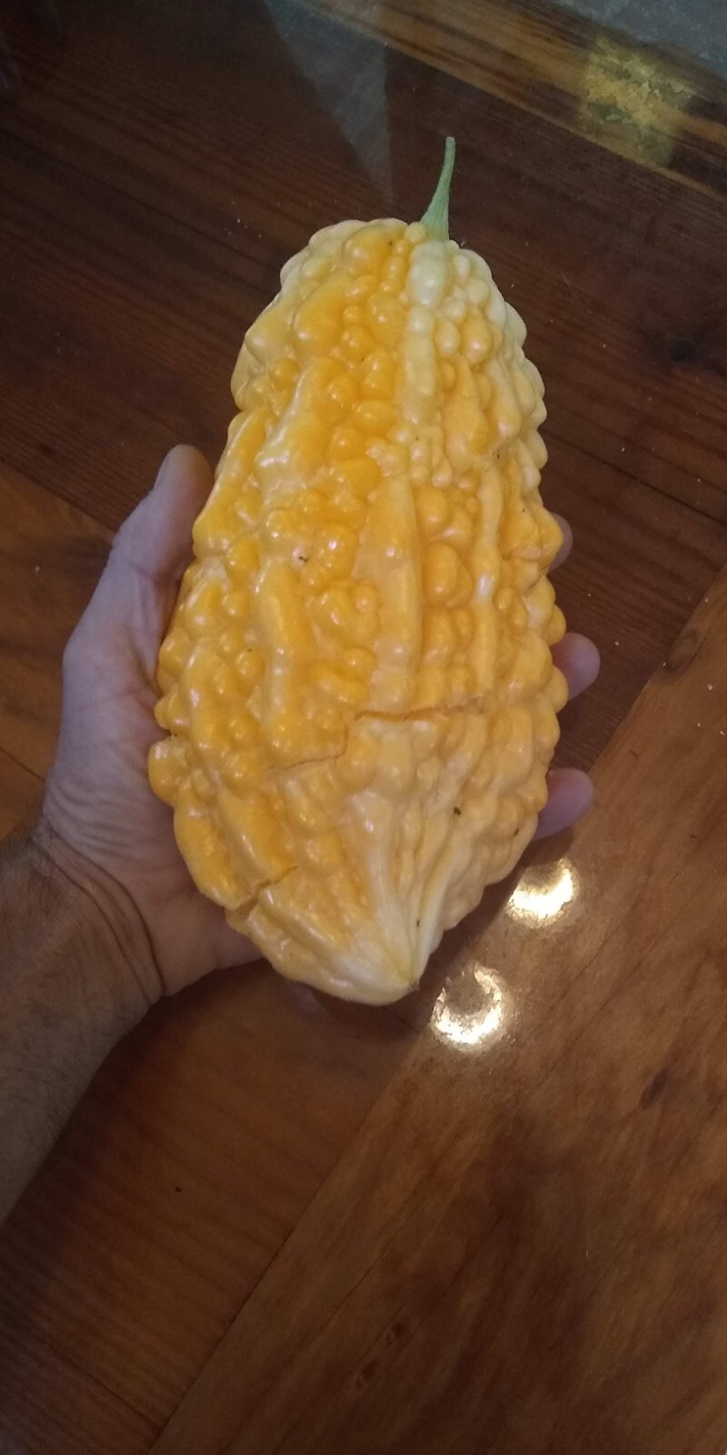 Jyunpaku Okinawan Pure White Bitter Melon ~ 3 to 50 seeds ~ Organic Heirloom~