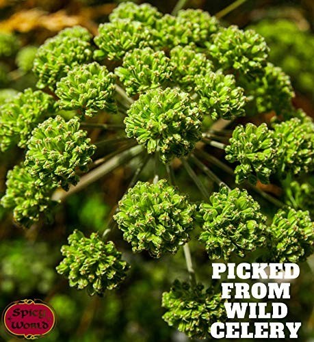 Whole Celery Seeds 4lb Bulk – Premium Quality, Vegan, Pure Spice, Salt-Free