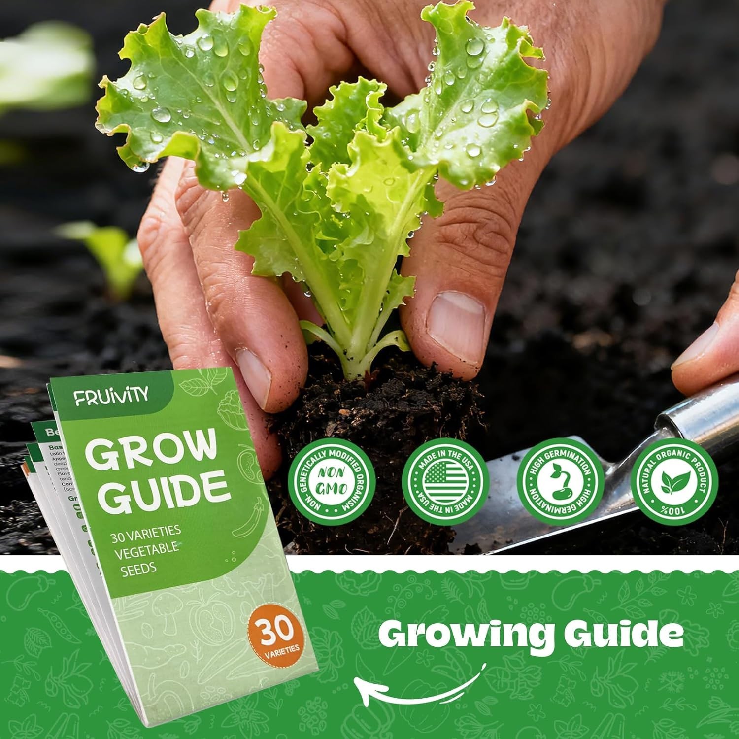 30 Heirloom Seeds Variety Pack – 18500+ Non-GMO Seeds for Planting Vegetables…