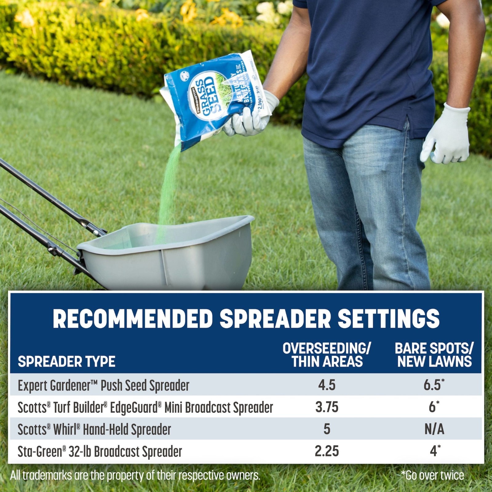 Pennington Kentucky Bluegrass Northern Grass Seed Mix for Sun to Partial Shade,