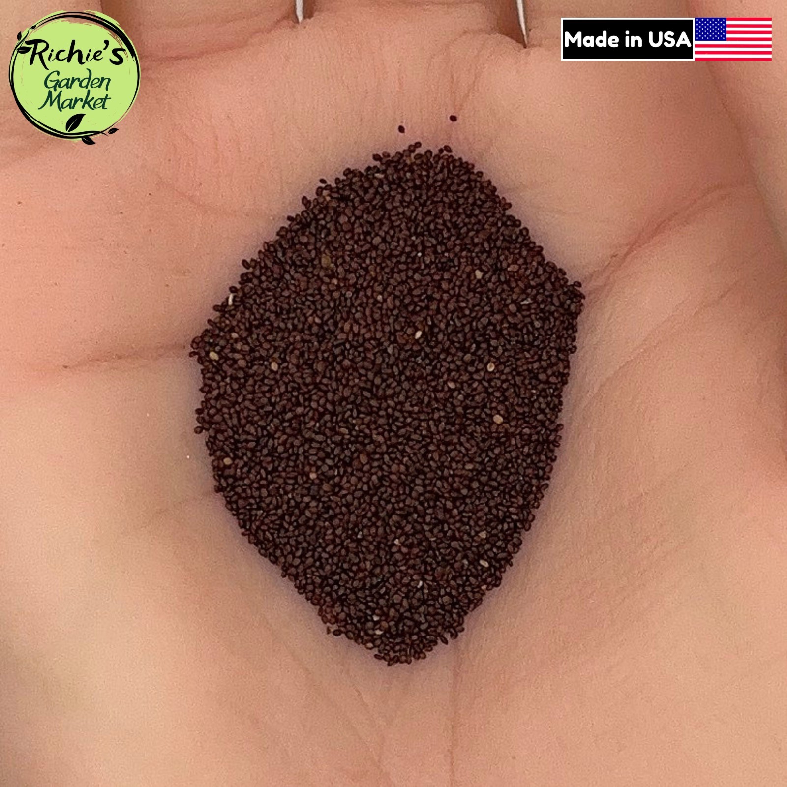 Oregano Italian Vulgare Seeds, Medicinal, Strong Aroma, Non-GMO, Free Shipping
