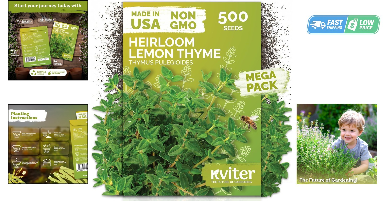 500 GMO-Free Lemon Thyme Seeds – Aromatic Ground Cover & Pollinator Friendly