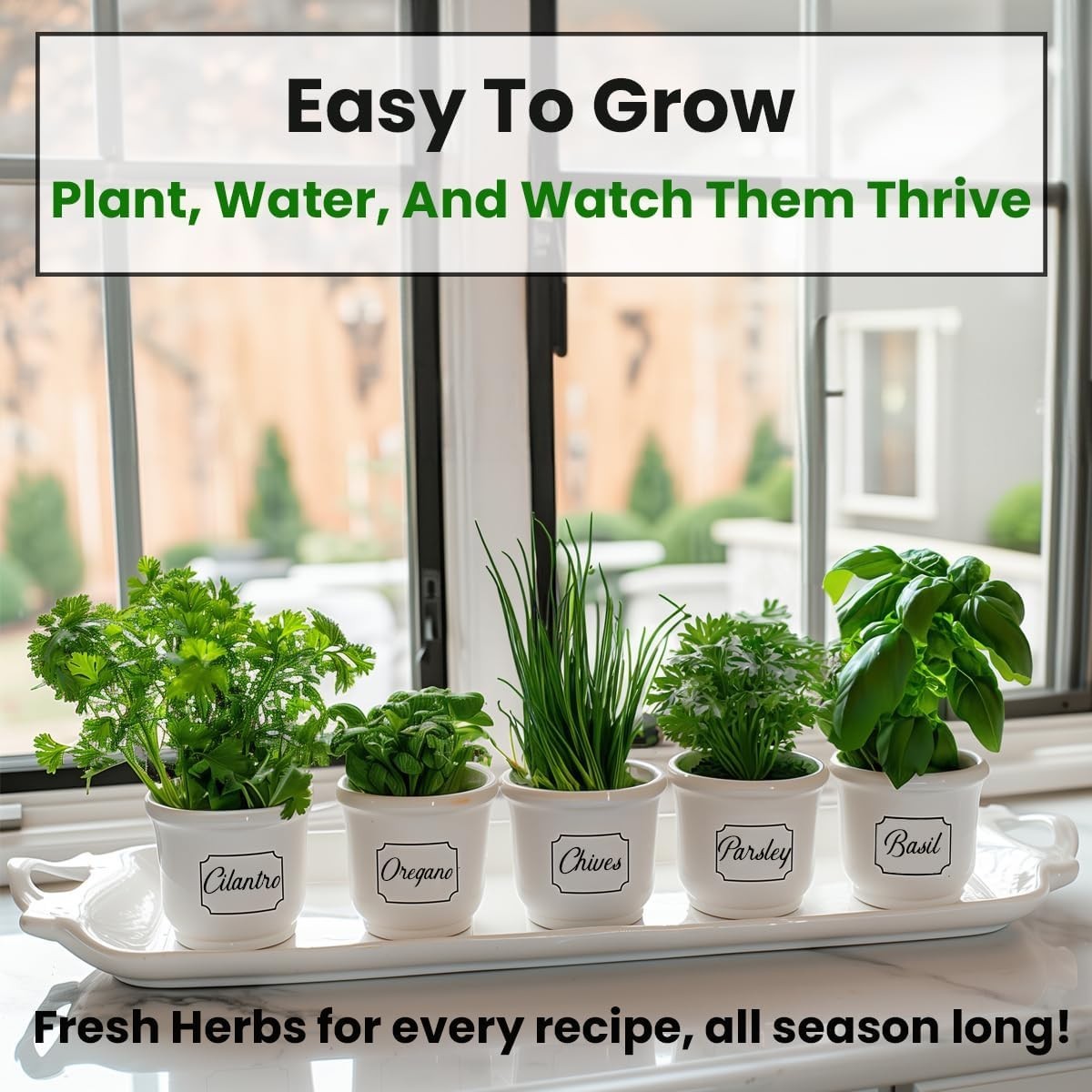 Indoor/Outdoor Herb Garden Seed Kit with 5 Heirloom Varieties for Fresh Flavor