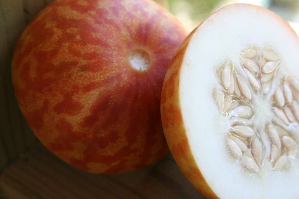 Tigger Melon Seeds, Beautiful and Aromatic, Organic, NON-GMO, FREE SHIPPING