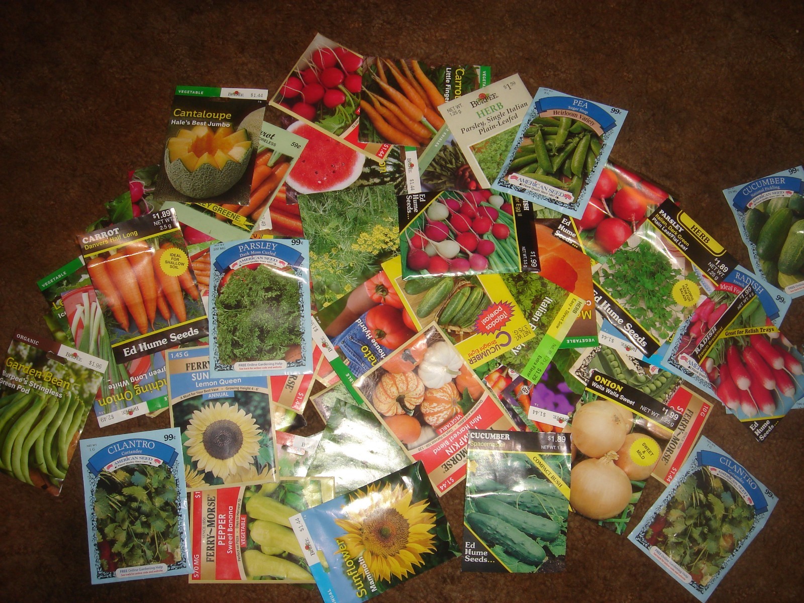 Lot Of 60 packages New Packs Of Various Flower Seeds vegetables sunflower L@@K