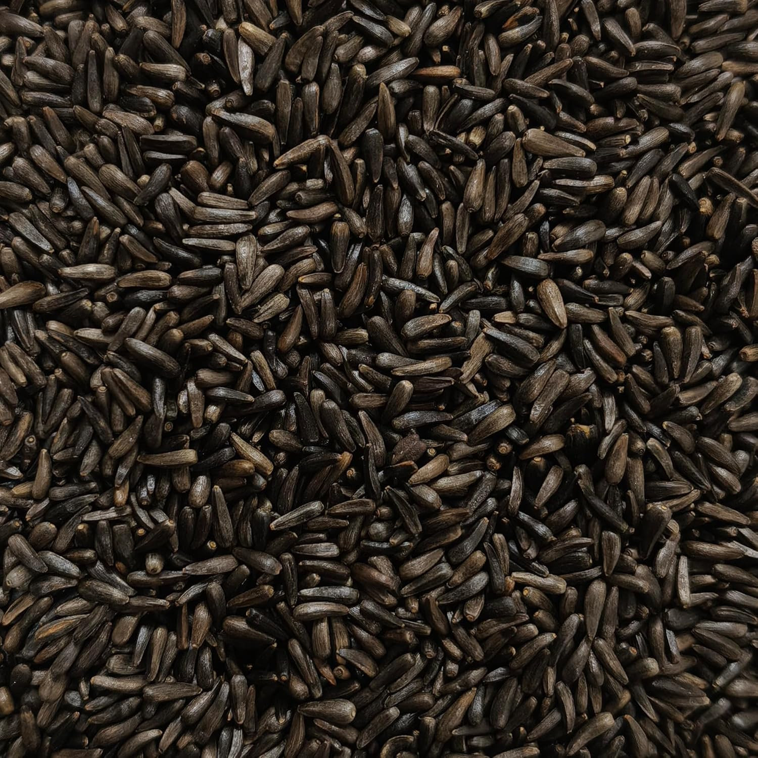 Nyjer/Thistle Seeds with Empty Sock for Wild Bird Food – 5 Pounds I No Grow Seed