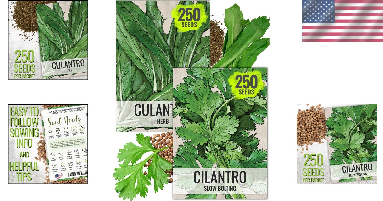 Coriander Seeds – Heirloom Cilantro & Culantro for Culinary Gardens – 2 Pack