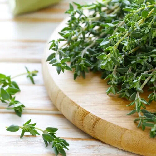 Thyme Seeds | Heirloom / Non-GMO | Free Shipping | Herb Seeds | Seed Store 1160