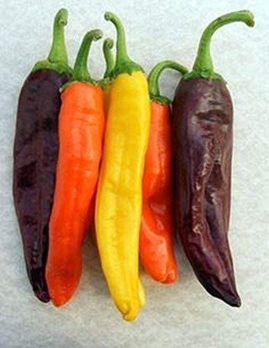 NuMex Mix Hot Pepper Seeds (25+ Seeds)