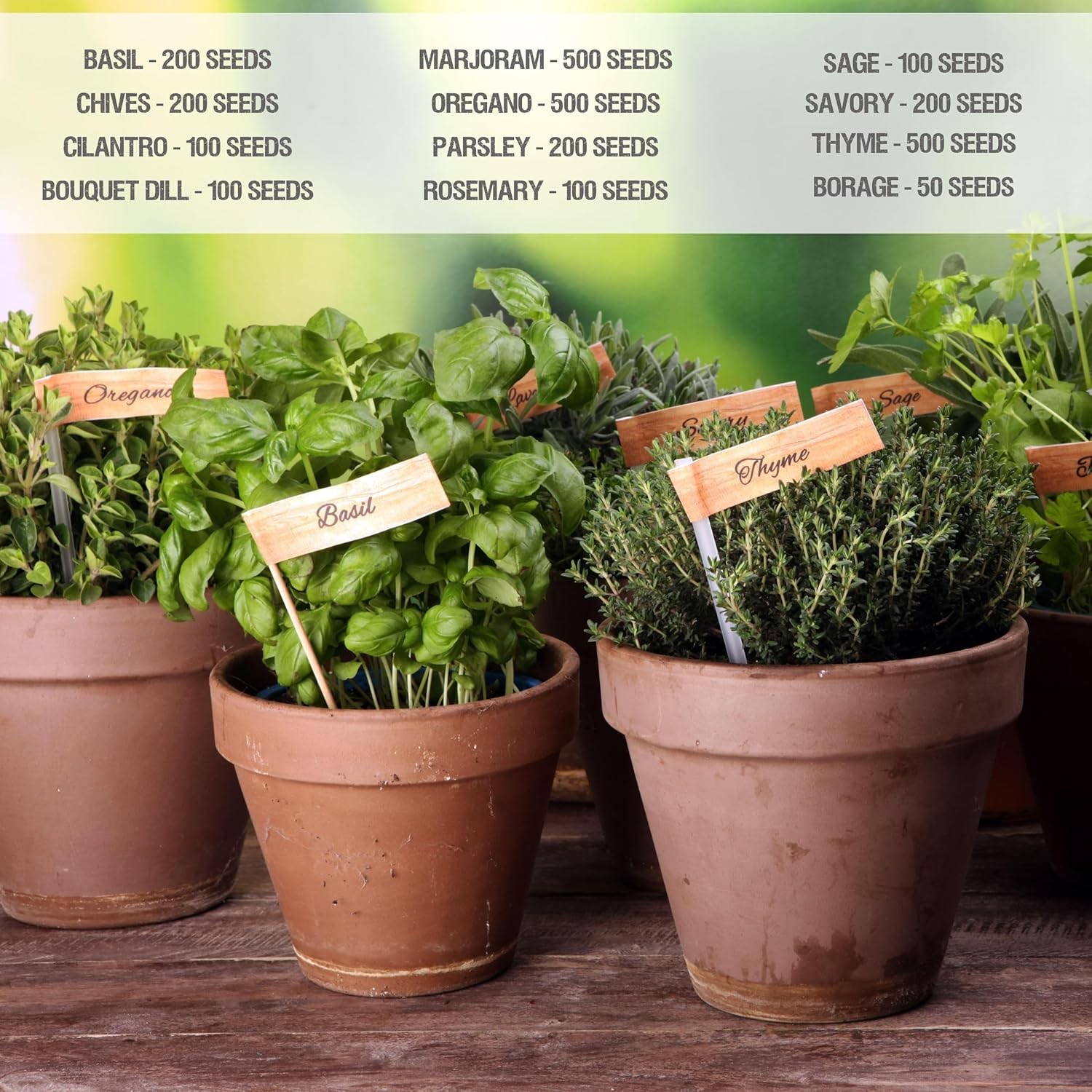 Herb Seeds Variety Pack Culinary Herb Collection (12 Individual Packets for Plan
