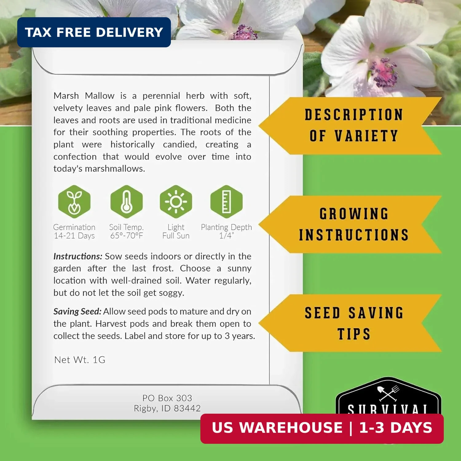 Marshmallow Seeds for Planting – Marsh Mallow Medicinal Herb, Althaea Officinali