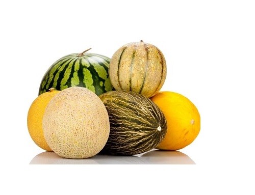 Melon Seeds multiple Varieties Watermelon Musk Cantelope Crenshaw Canary Asian