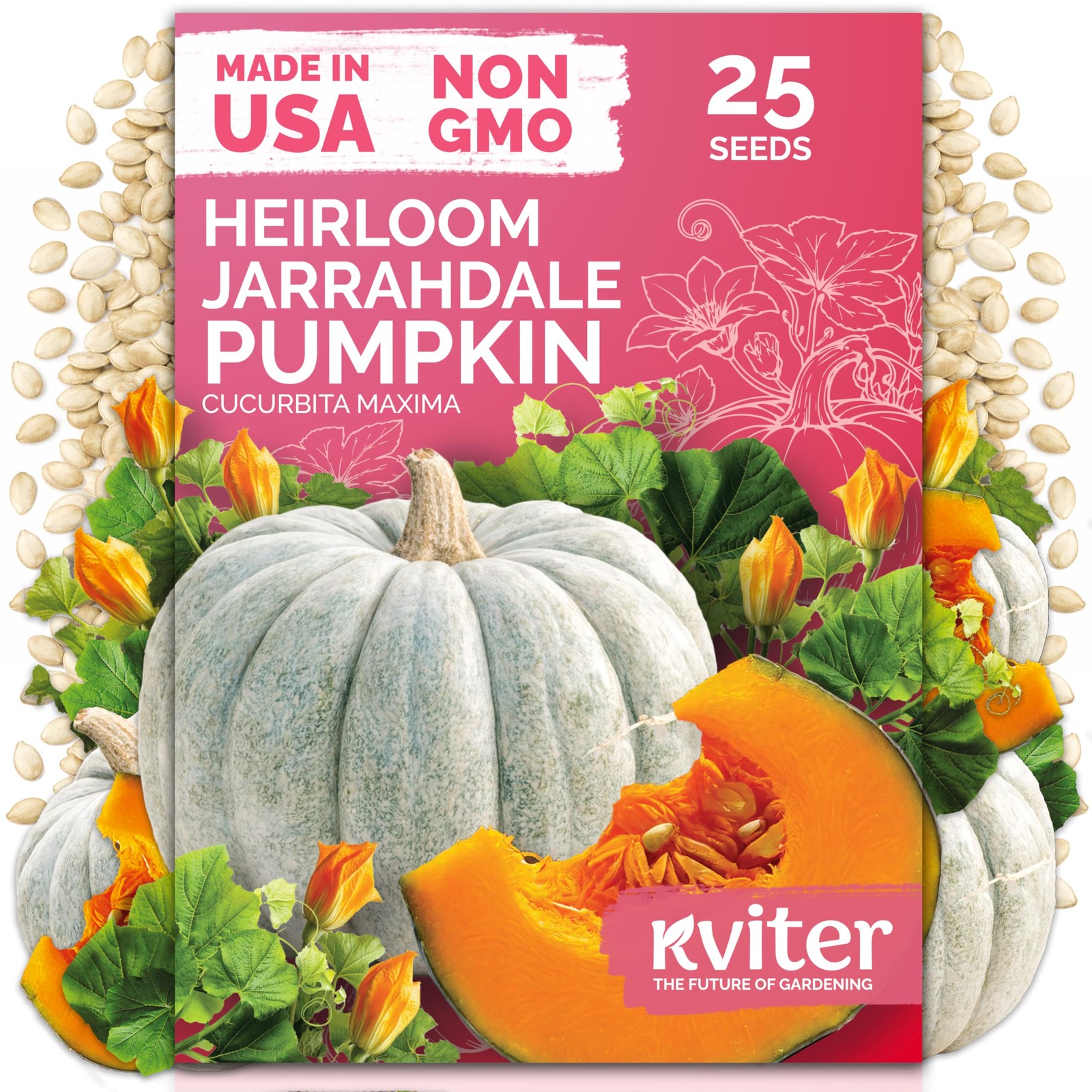 Jarrahdale Pumpkin Seeds NonGMO Heirloom Seeds for Gardens and Containers