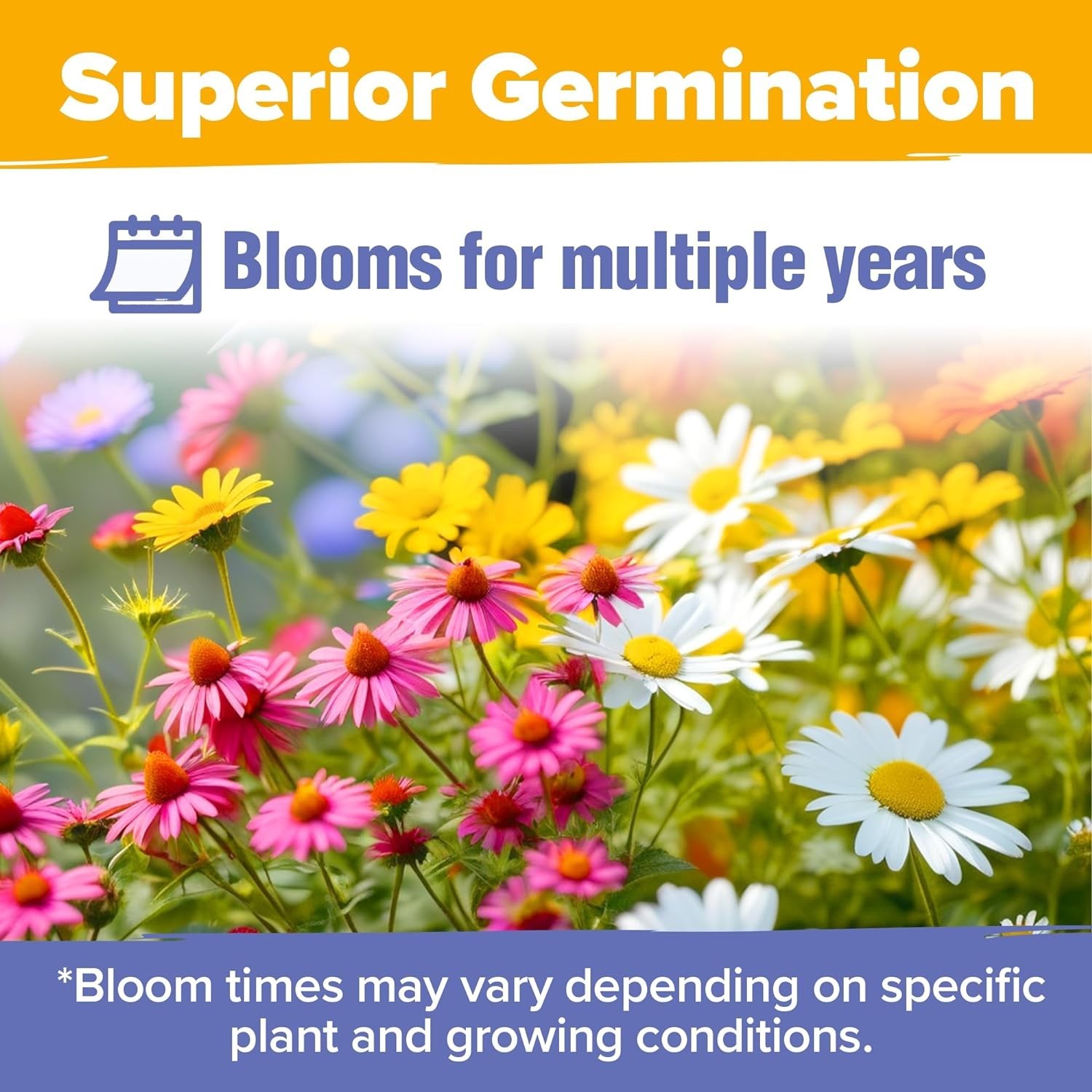 Wildflower Perennial Seed Mix: 19 Varieties to Attract Bees & Butterflies