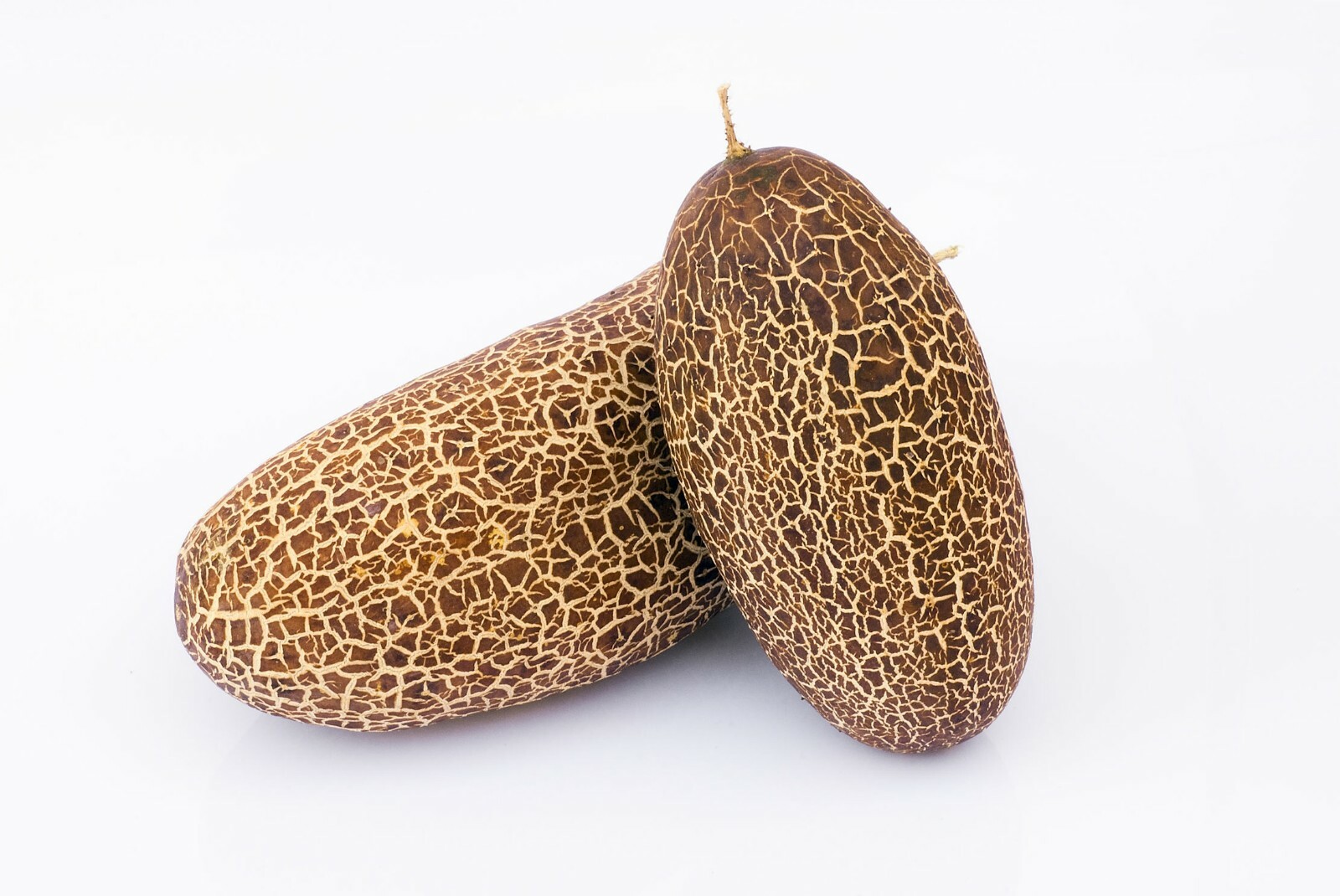 Heirloom Vegetable Seeds – ‘Sikkim’ -Rusty Cucumber-20 Seeds -Cucumis sativus