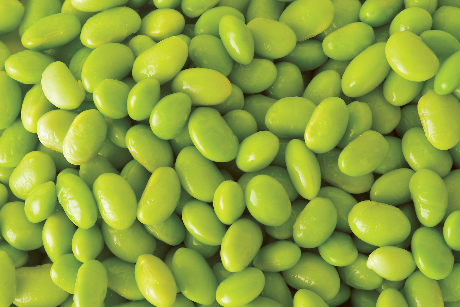 20 Edamame Green ENVY SOYBEAN Glycine Max Soy Bean Vegetable Seeds *Combined S/H