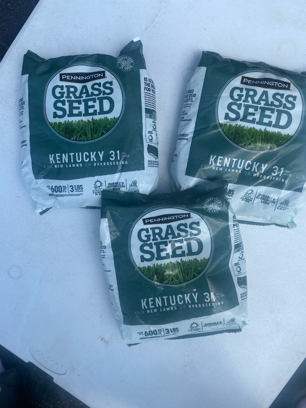3 lb Kentucky 31 Tall Fescue Grass Seed – Fast Germination, Drought (3 Total)