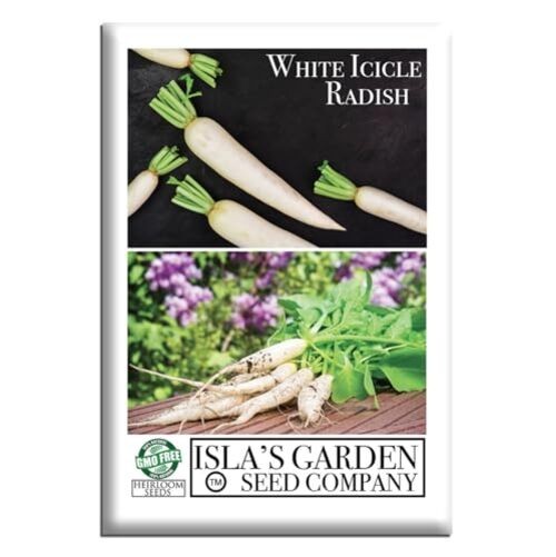 White Icicle Radish Seeds (Raphanus sativus)– 200+ Heirloom Non-GMO Seeds by