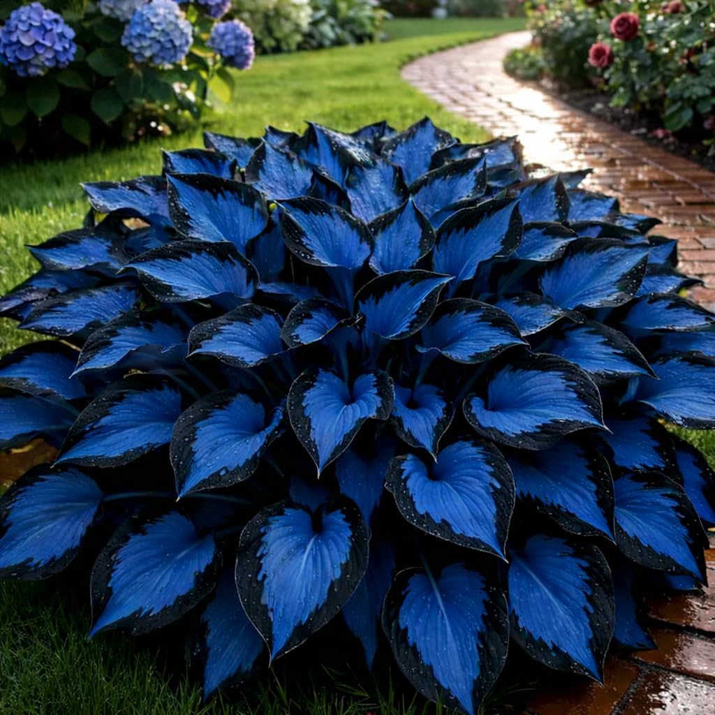 210+ Hosta Seeds – Rare Flower Seeds for Shade Gardens, Long Blooming Plants …