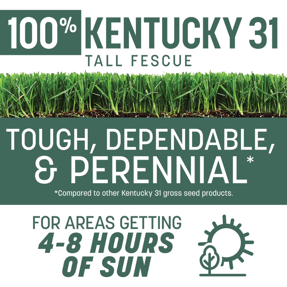 Pennington Kentucky 31 Tall Fescue Grass Seed, Sun & Shade, Durable Lawn, 20 lbs