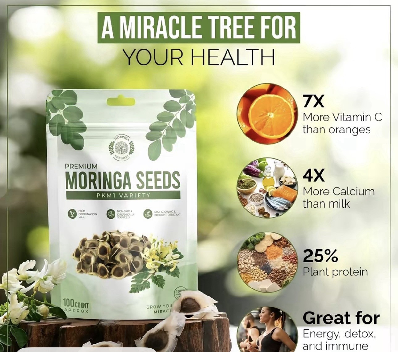 Moringa with Barry PKM1 Moringa Tree Seeds 100 Count Organic Non-GMO Fast