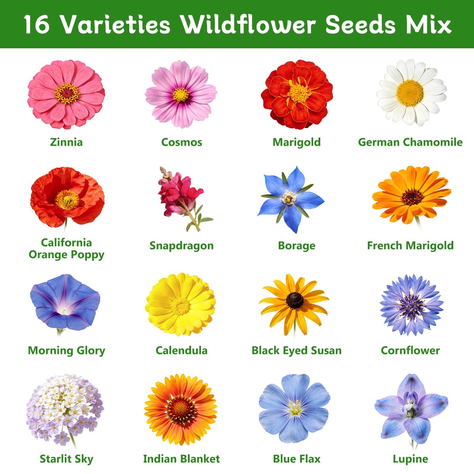 Wildflower Seeds Bulk 10000+ Mix Annual Perennial Garden 2 Oz Packet Pollinator