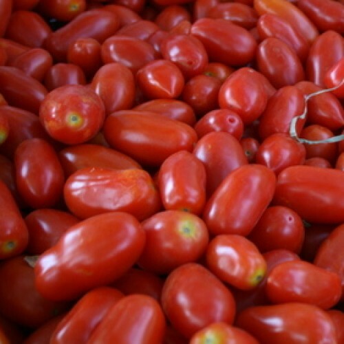 San Marzano Tomato Seeds (Indeterminate) | Heirloom / Non-GMO | Seed Store 1023