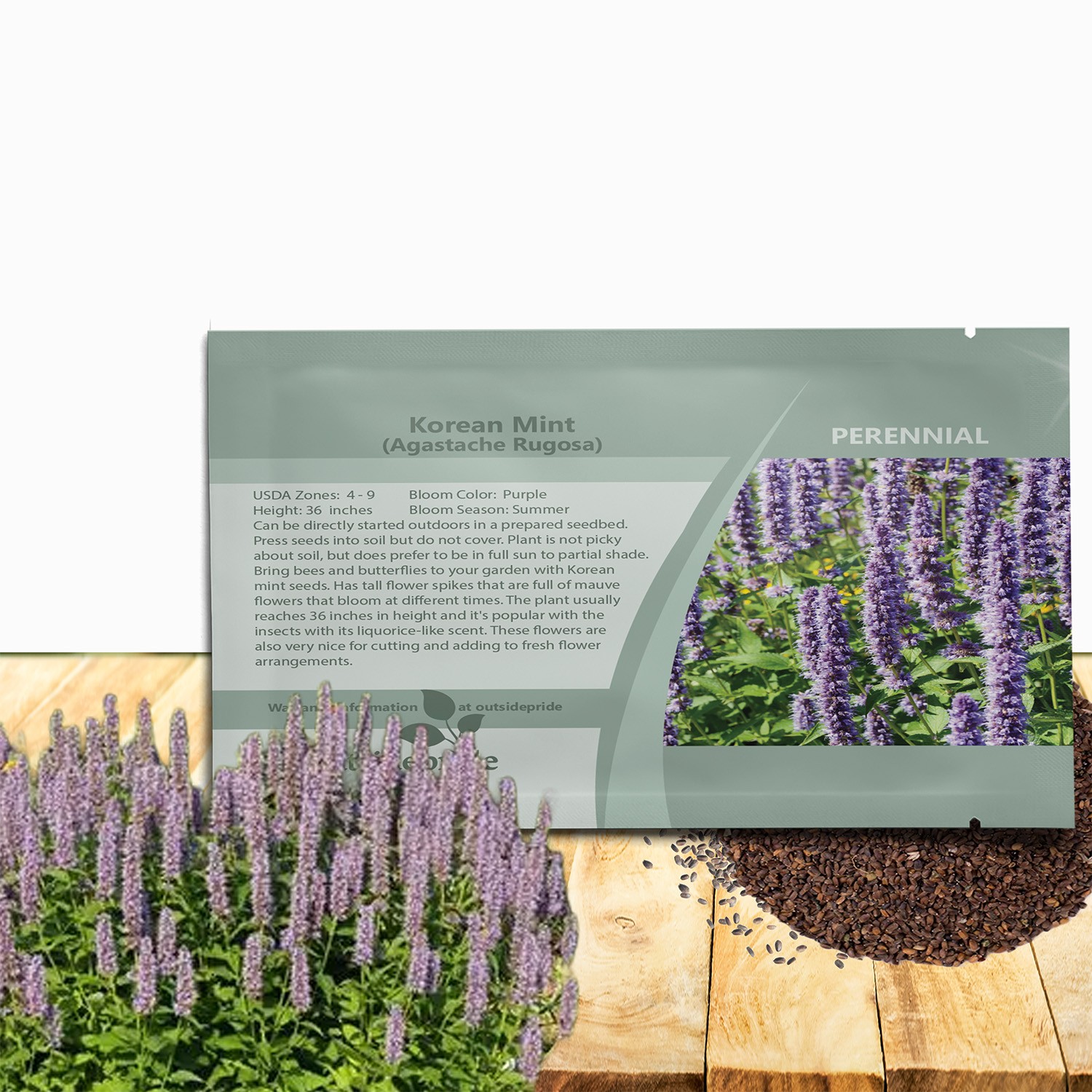 500 Seeds Korean Mint Seed – Agastache Rugosa Herb Seeds