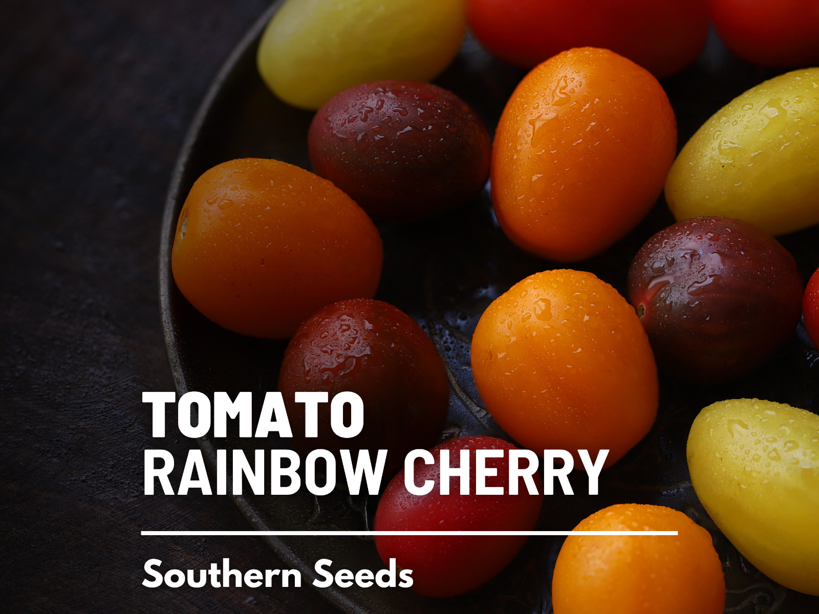 Tomato, Rainbow Cherry – Heirloom Seeds – Easy to Grow – GMO Free (Solanum lycop