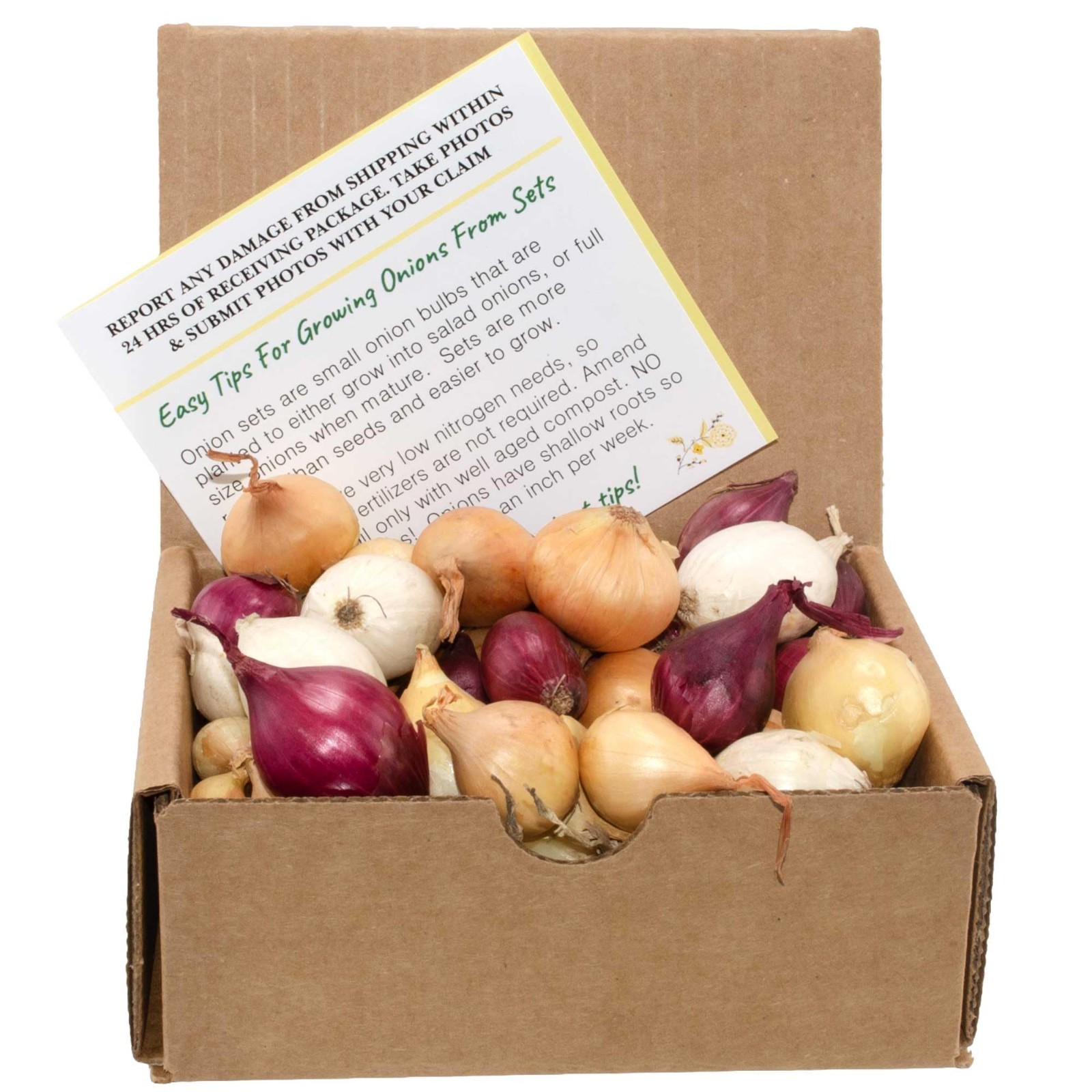 50+ Count Mixed Onion Sets – Red, White & Yellow Non-GMO Onion Bulbs for Garden