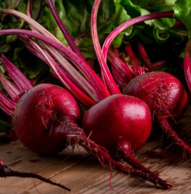 Beet RUBY QUEEN Heirloom Root Vegetable AAS Award Winner USA Non-GMO 100 Seeds