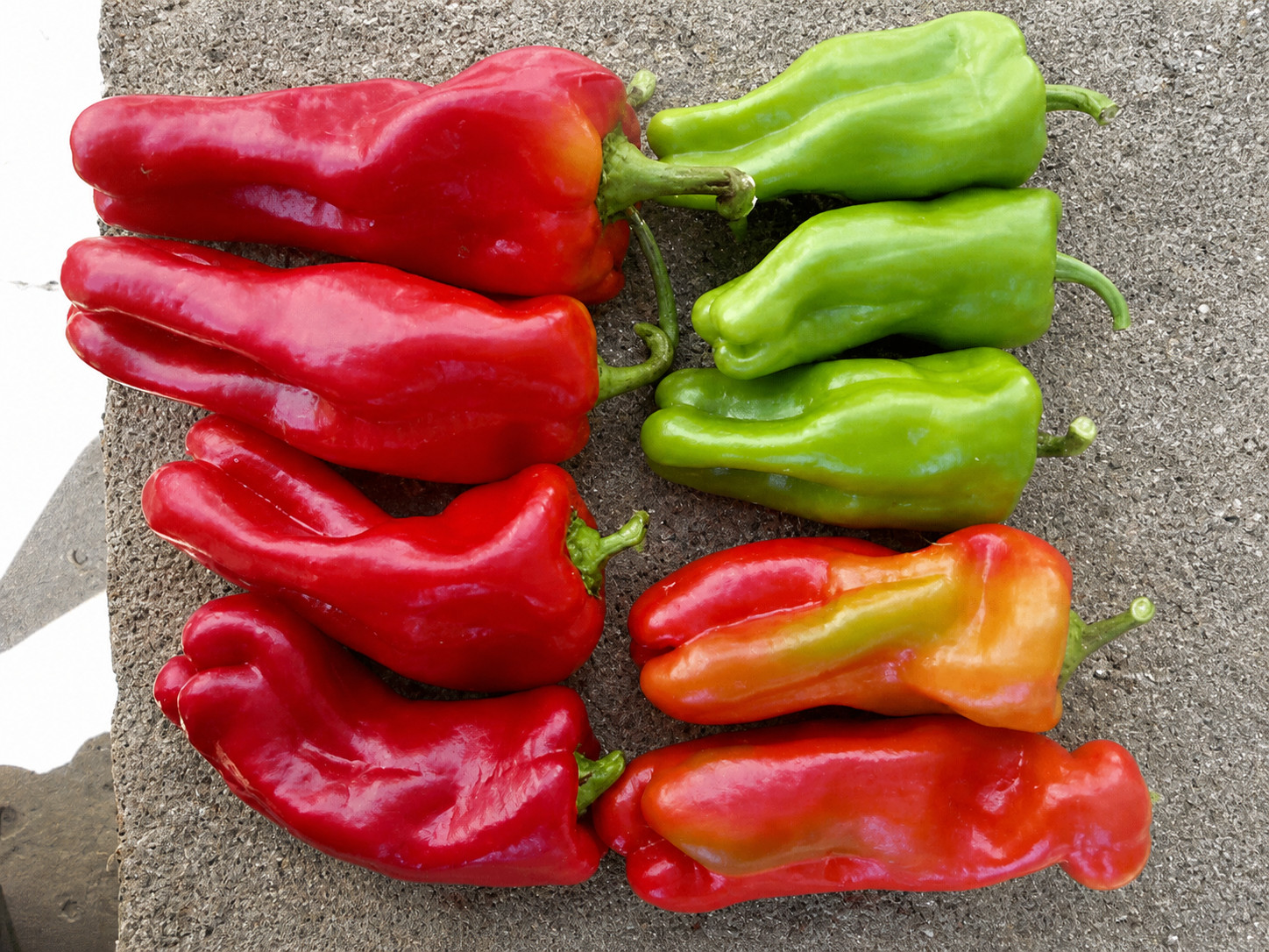 100ct Heirloom Cubanelle Pepper Seeds -Ultimate Stuffing Pepper! Sweet! No Heat!