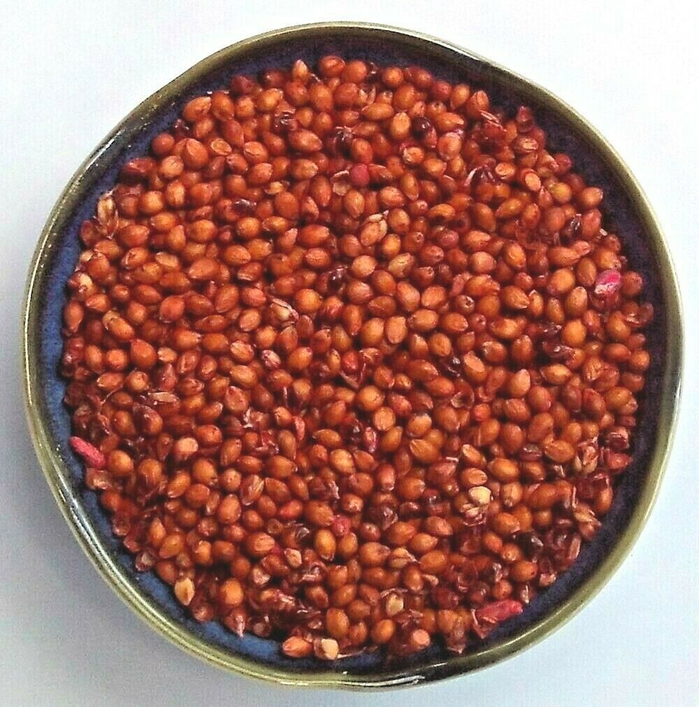 800-1000 Sorghum Seeds Rox Orange Syrup Cane Non-GMO Heirloom