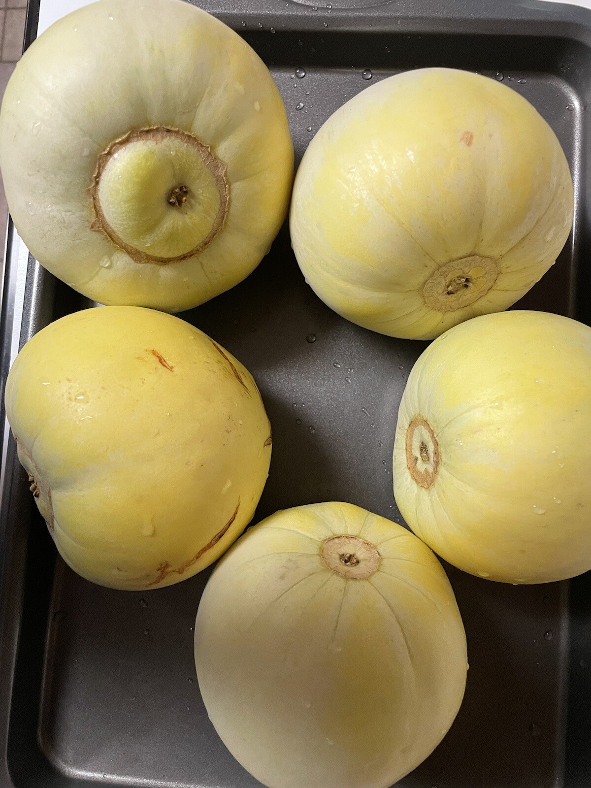 30 Japanese New Sweet Melon Seeds 2023 Fresh Seeds