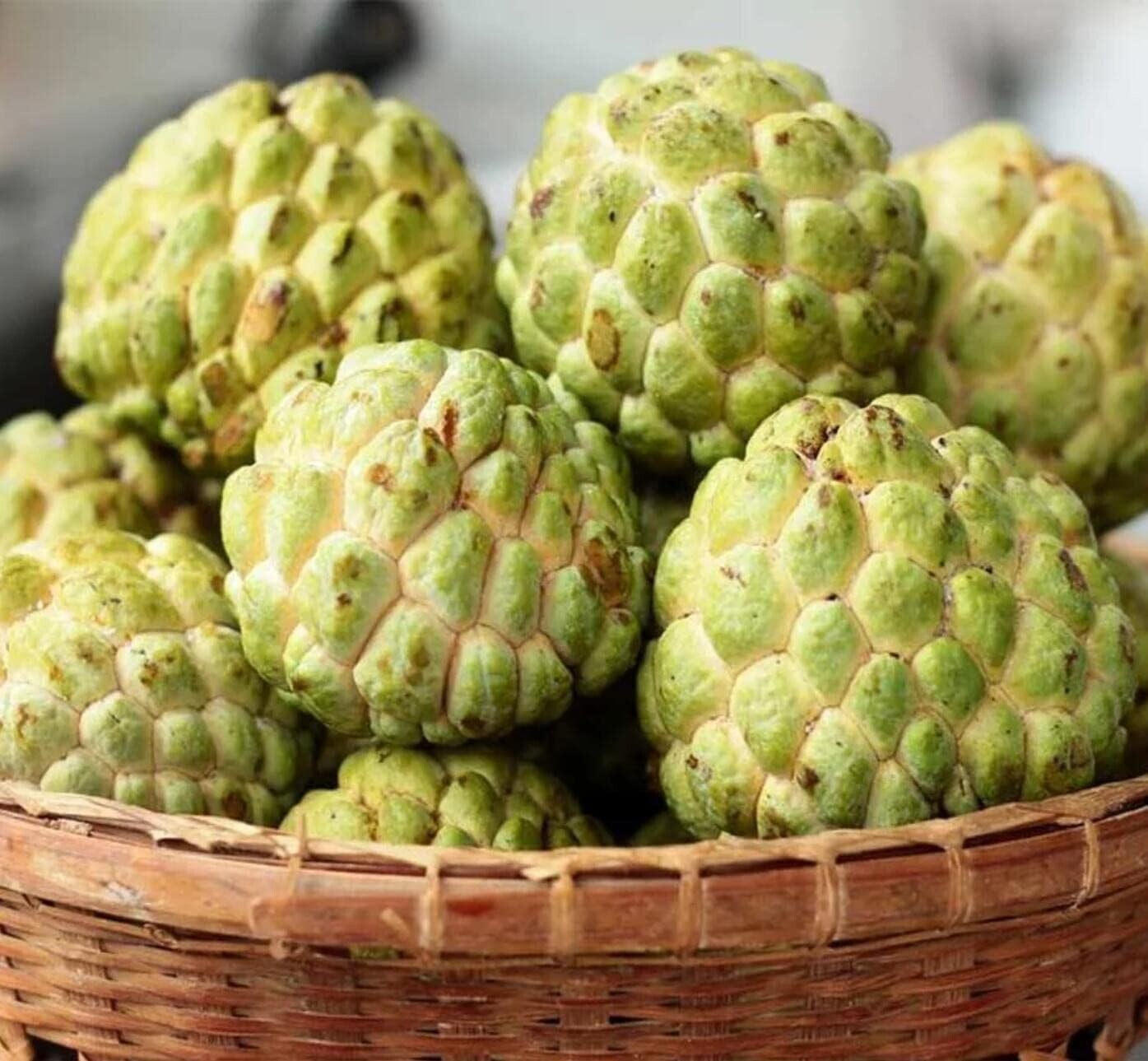 Annona Squamosa 10 Seeds, Sugar Custard Apple Sweetsops Fruit Tree Shrub