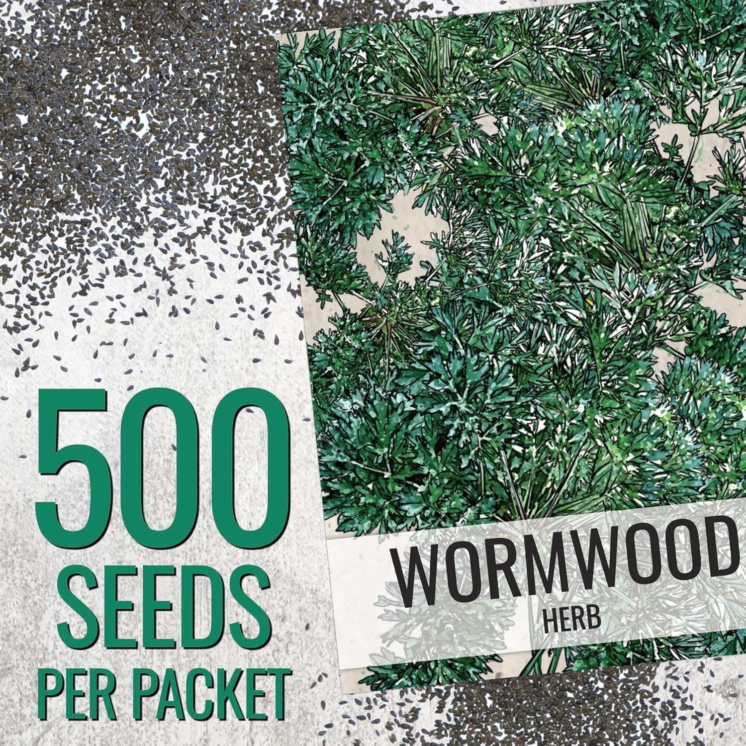 Wormwood Seeds for Planting – Untreated, Non-GMO Herbal Growth – 1000 Count