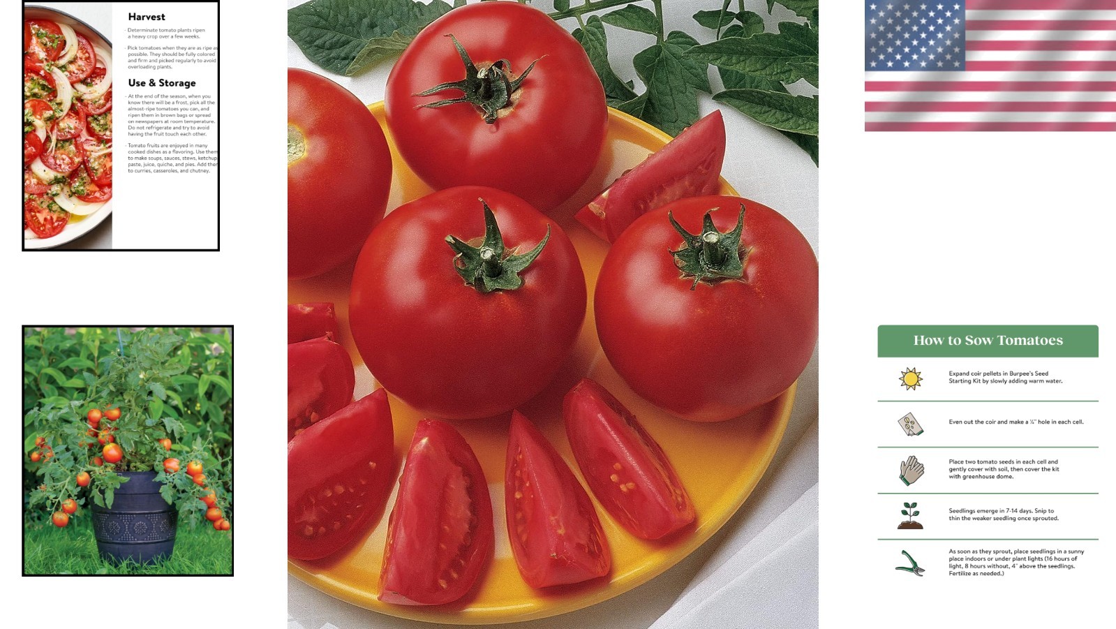 Grow ‘Bush Early Girl’ Hybrid Tomato – 30 GMO-Free Seeds for Flavorful Summer