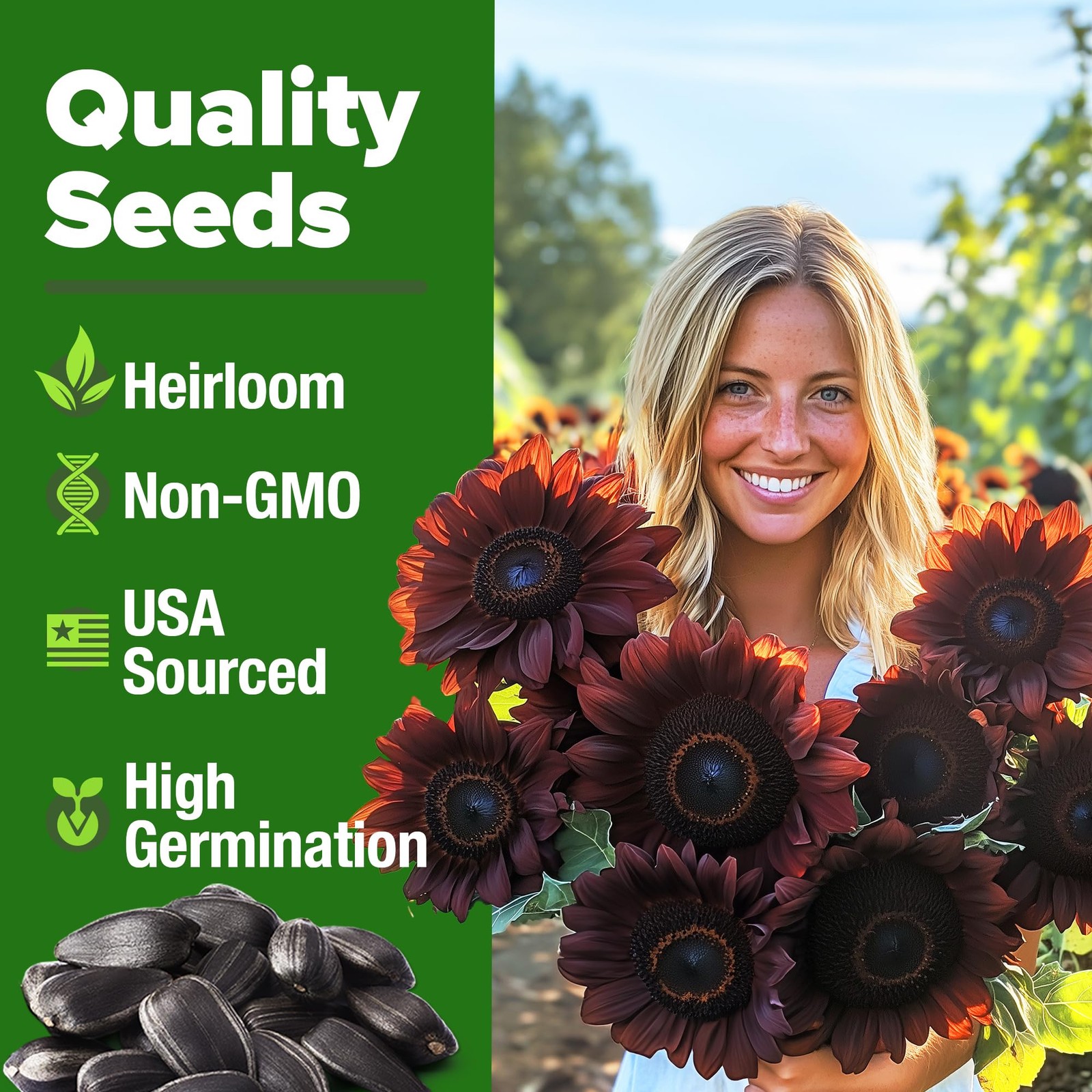 Chocolate Cherry Sunflower Seeds 75 Heirloom Seeds for Planting Burgundy Sunf…
