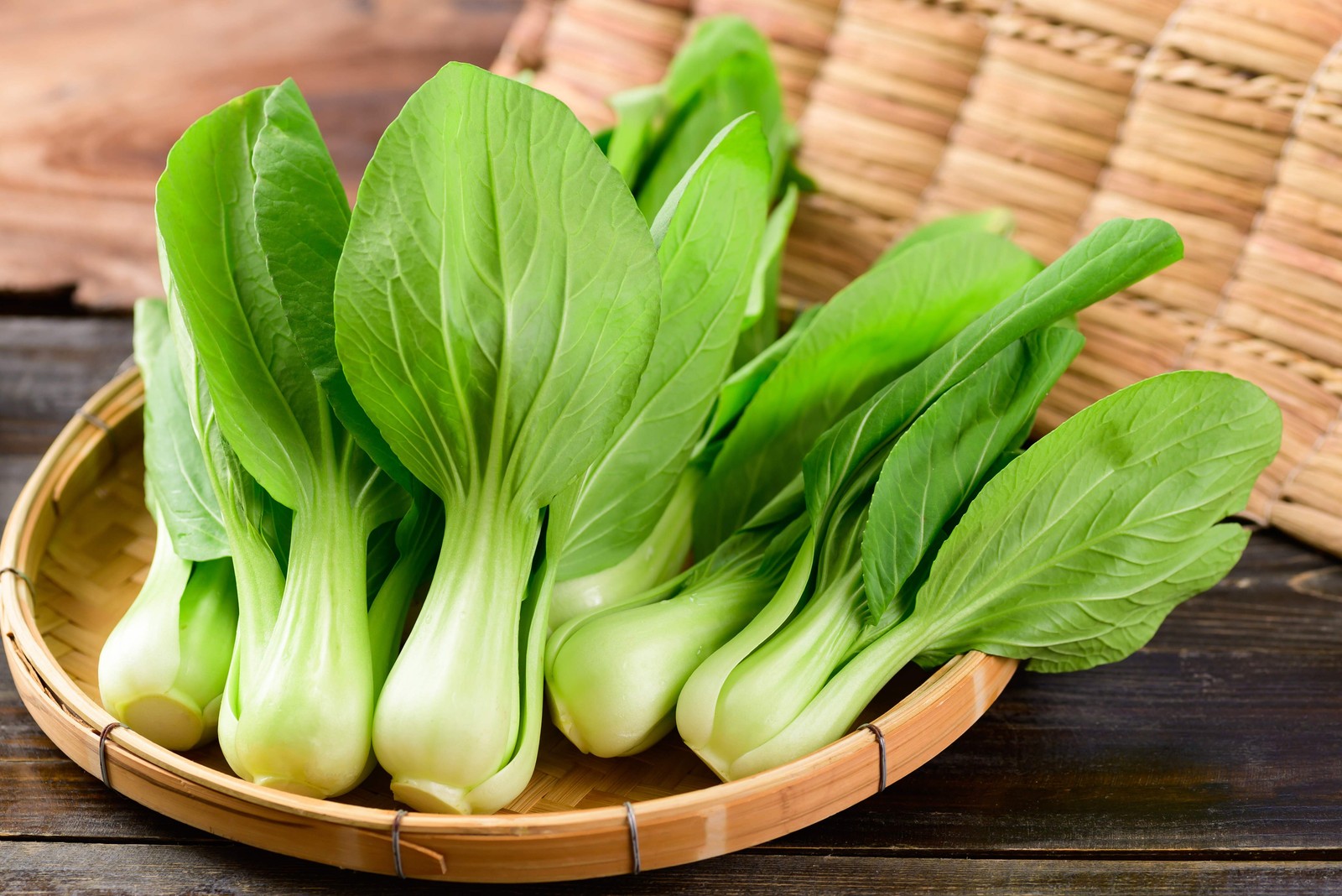 2000 CANTON PAK CHOI Bok Choy Chinese Cabbage Brassica Rapa Vegetable Seeds