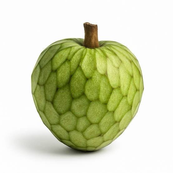 Custard Apple (Annona Reticulata) Chirimoya Heart live Fruit Tree 8in-12in