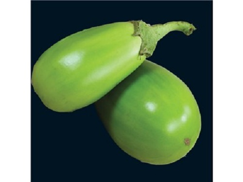 25 APPLEGREEN EGGPLANT Green Fruit / Vegetable Solanum Melongena Seeds *Comb S/H