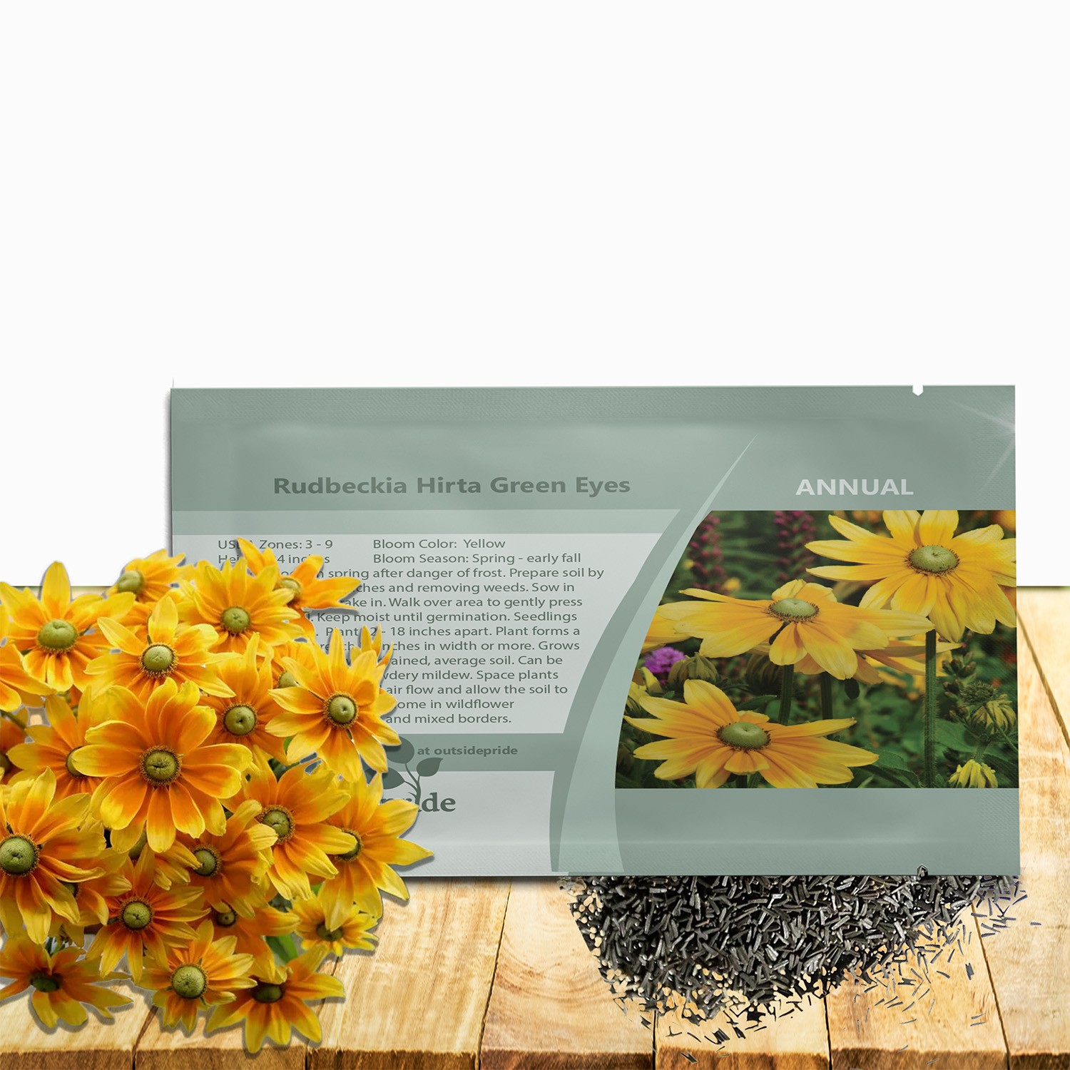 10000 Seeds Rudbeckia Hirta Drought Resistant Green Eyes Rudbeckia Flower Seed