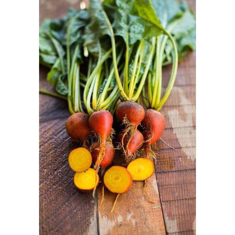 Golden Beet Seeds | Yellow Beets Heirloom Orange Beetroot Garden Root Seed 2024