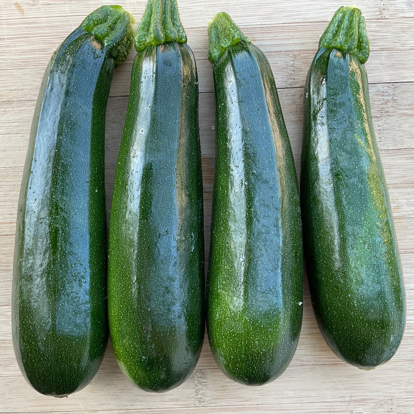 20 Quality Premium Newly Harvested Dark Green Zucchini Summer Squash Seeds-A 24