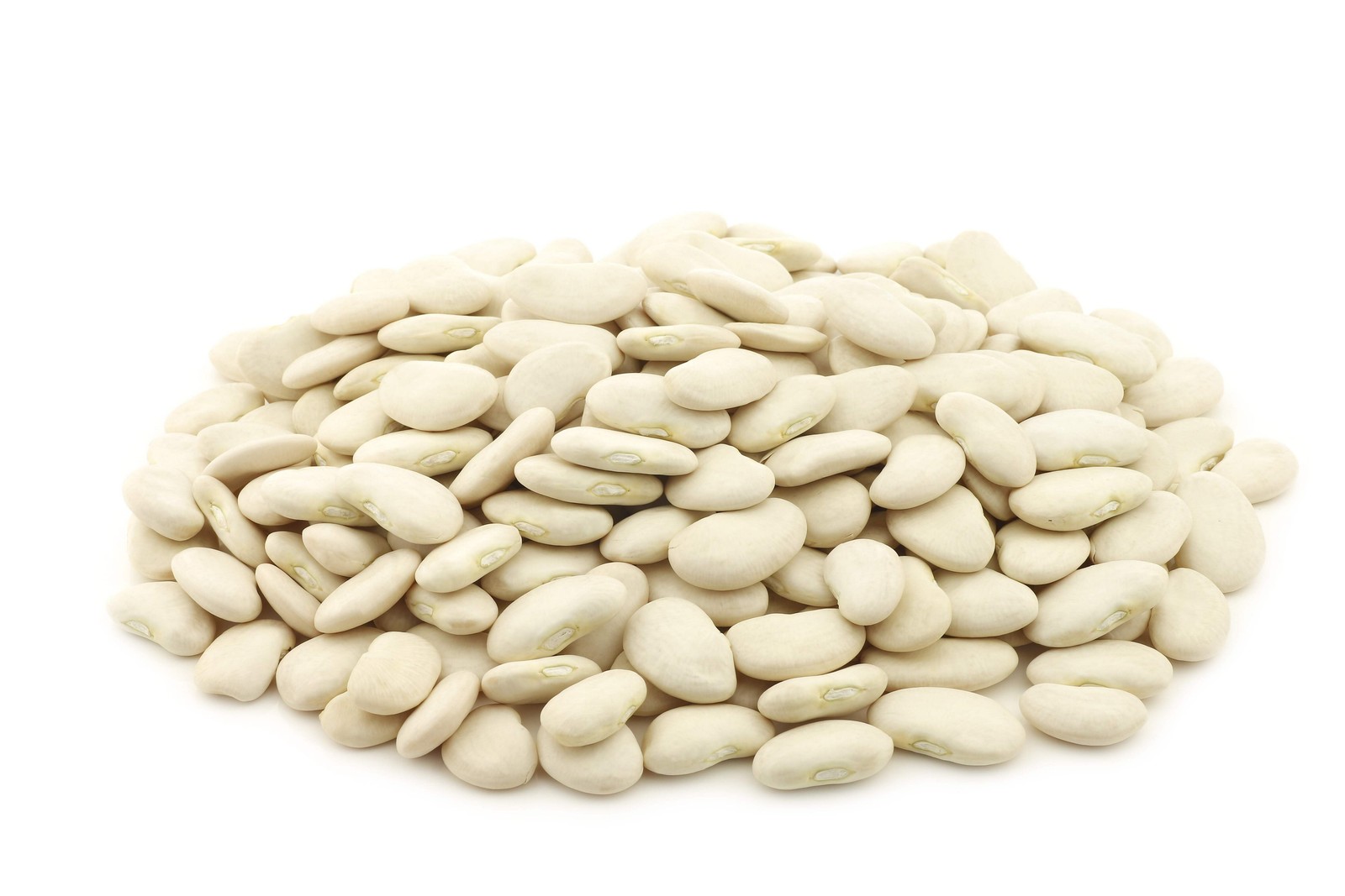 50 BABY LIMA BEAN Phaseolus Lunatus Vegetable Seeds