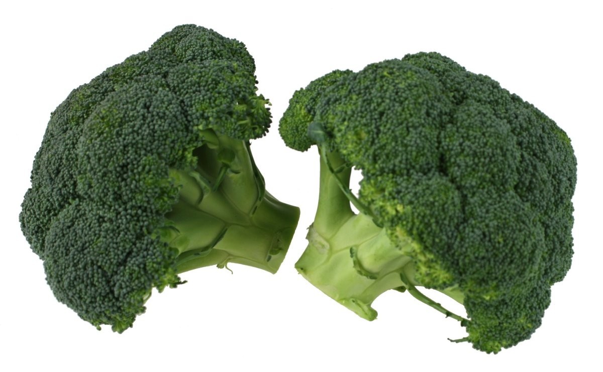 BROCCOLI SEEDS 500+ WALTHAM 29 CULINARY MICROGREENS for vegetables garden