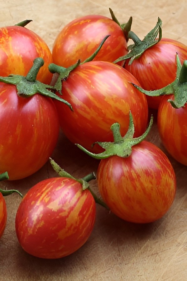 100 Isis Candy Cherry Tomato Seeds -One Of The Sweetest Indeterminate Tomatoes