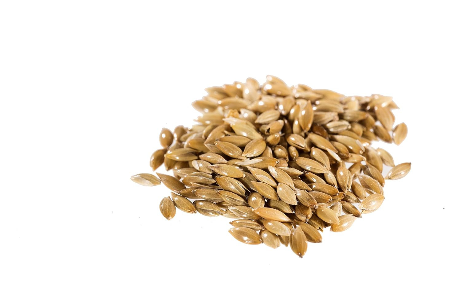 Canary Seed (Alpiste) (1 Pack 4 Lbs) for Human Consumption, Silica Fiber Free.
