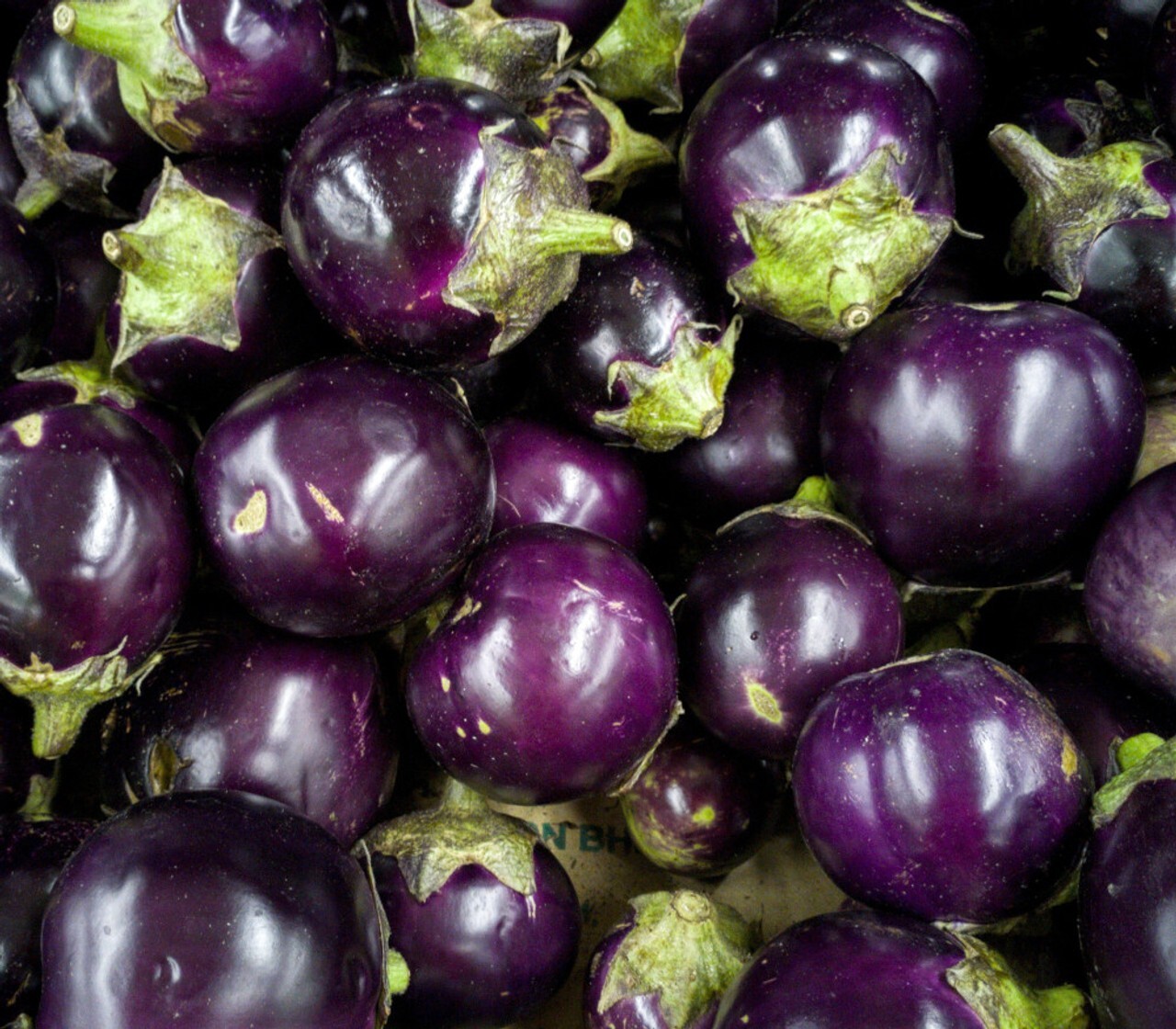 100+ EGGPLANT THAI , Round Purple Cà Pháo Seeds Organic NON – GMO, 2024 Season